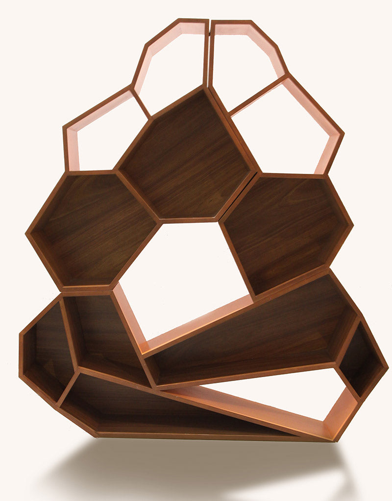 Honeycomb book shelves