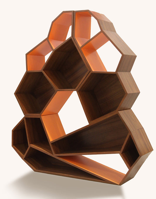 Honeycomb book shelves